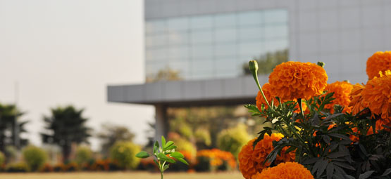 magnificient-bhilai